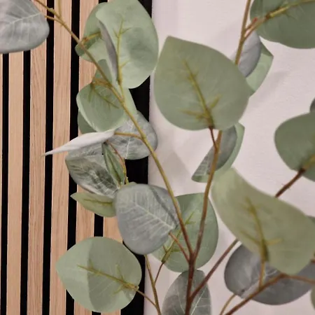 La Casa Allegra With Private Parking Space * Opatija