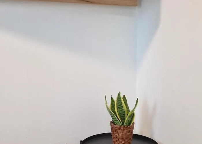 Apartmán La Casa Allegra With Private Parking Space